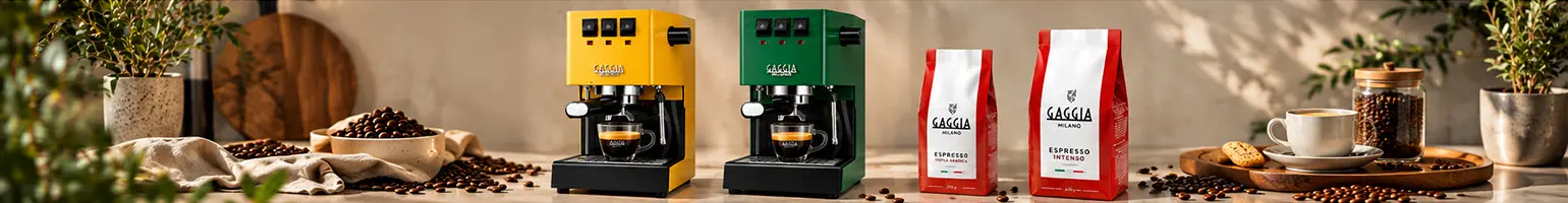 Gaggia cover