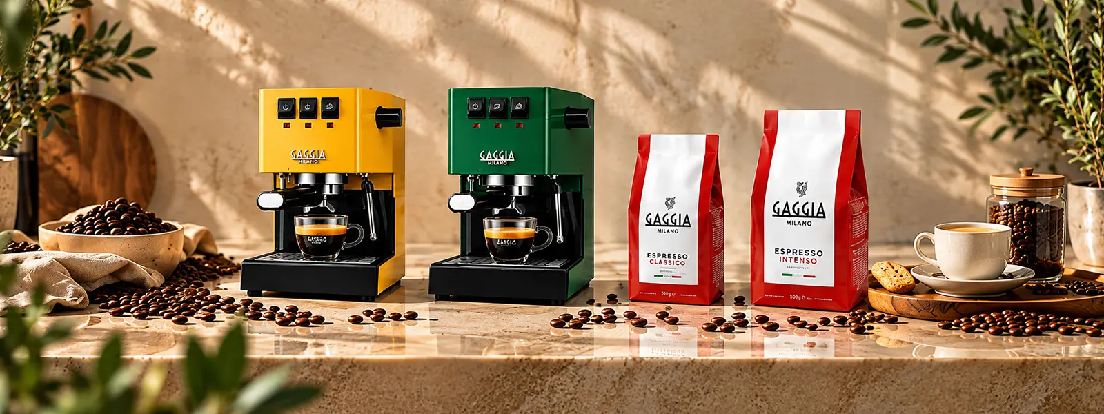 Gaggia cover