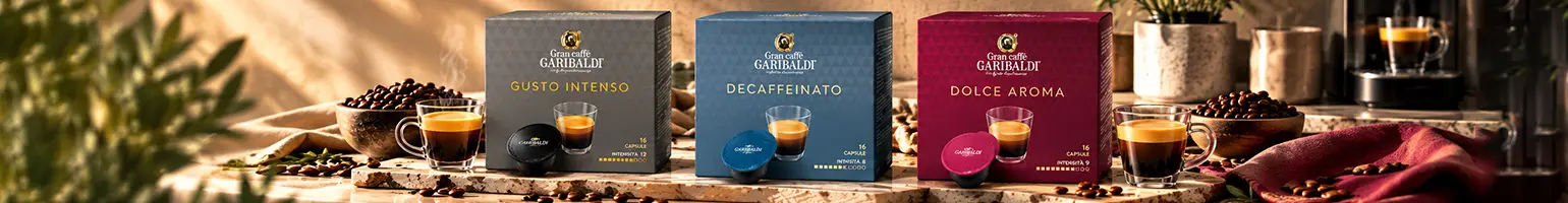 Garibaldi cover
