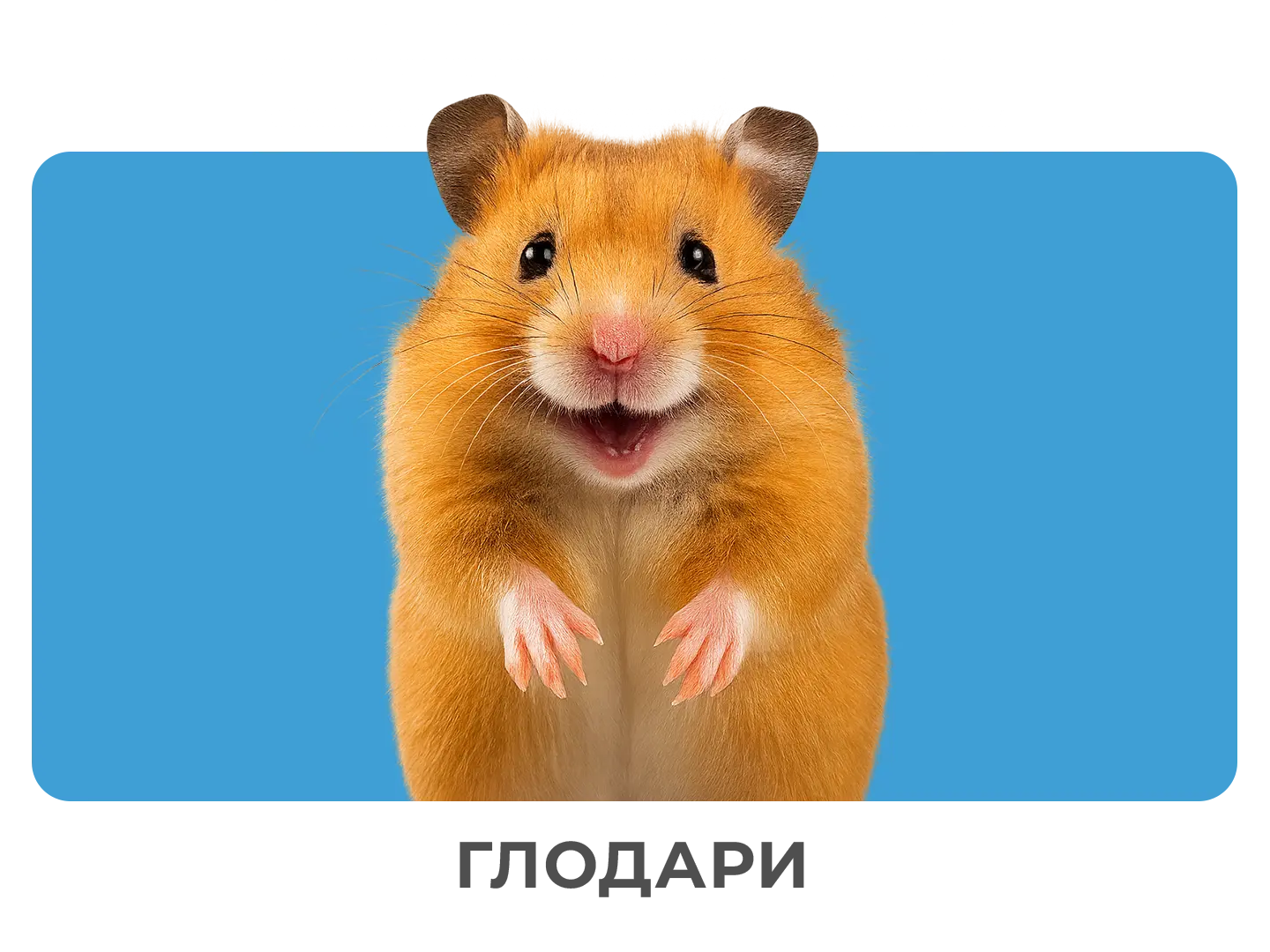 Мали животни