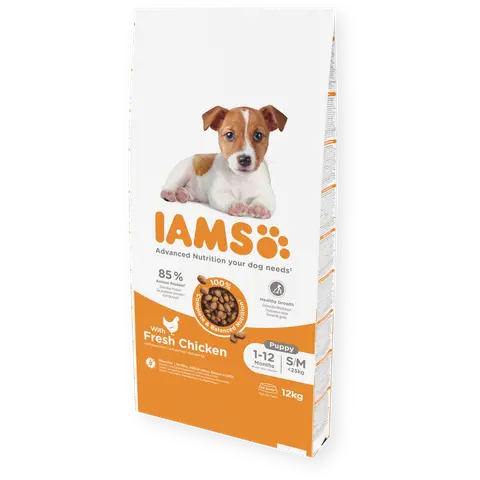 IAMS Puppy Small/Medium Breed со свежо пилешко месо [Вреќа 10кг]