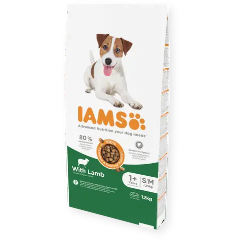 IAMS Adult Small/Medium Breed со јагнешко месо [Вреќа 12кг]