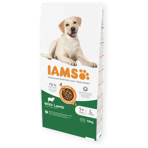 IAMS Adult Large Breed со јагнешко месо [Вреќа 12кг]