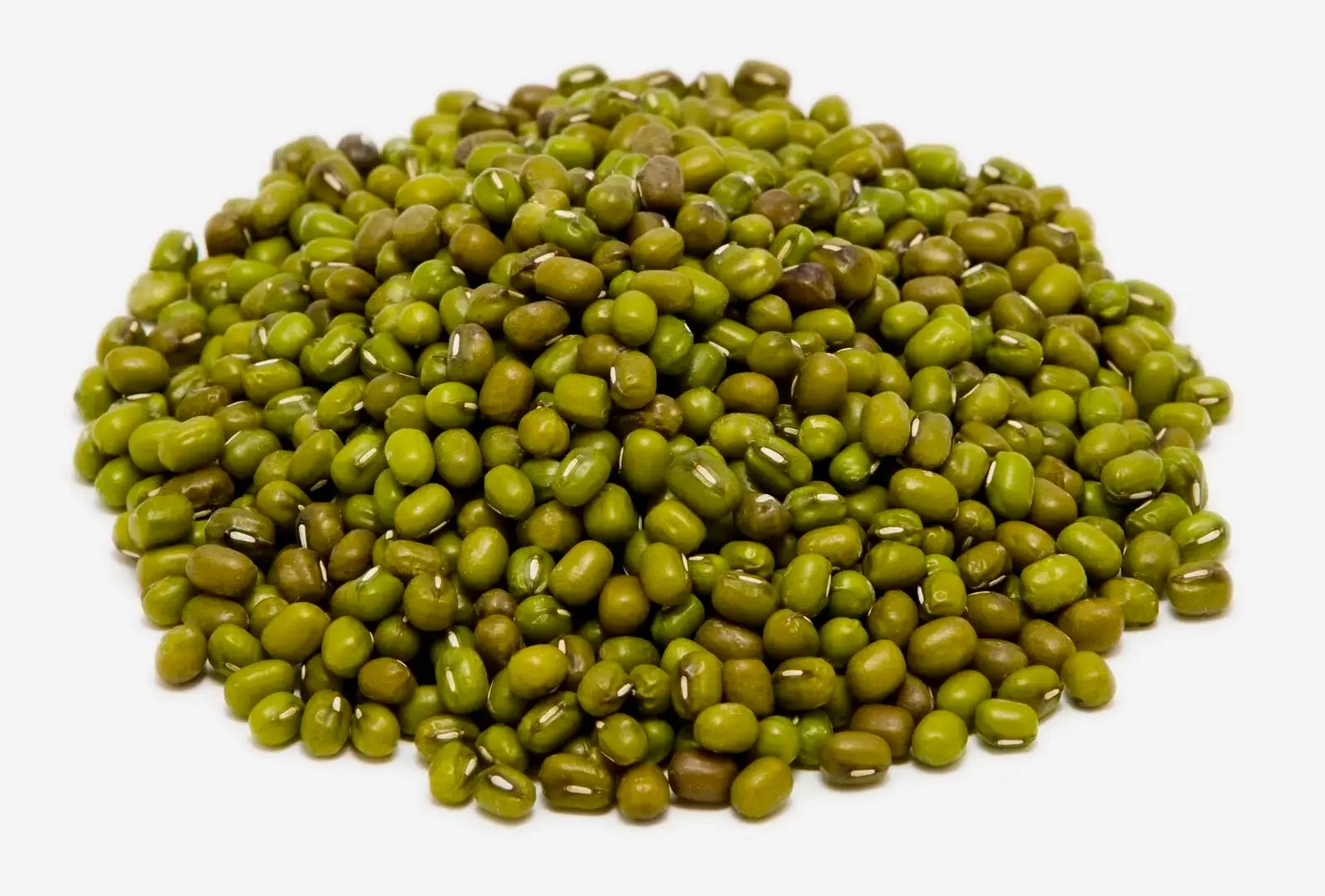 Манго семе