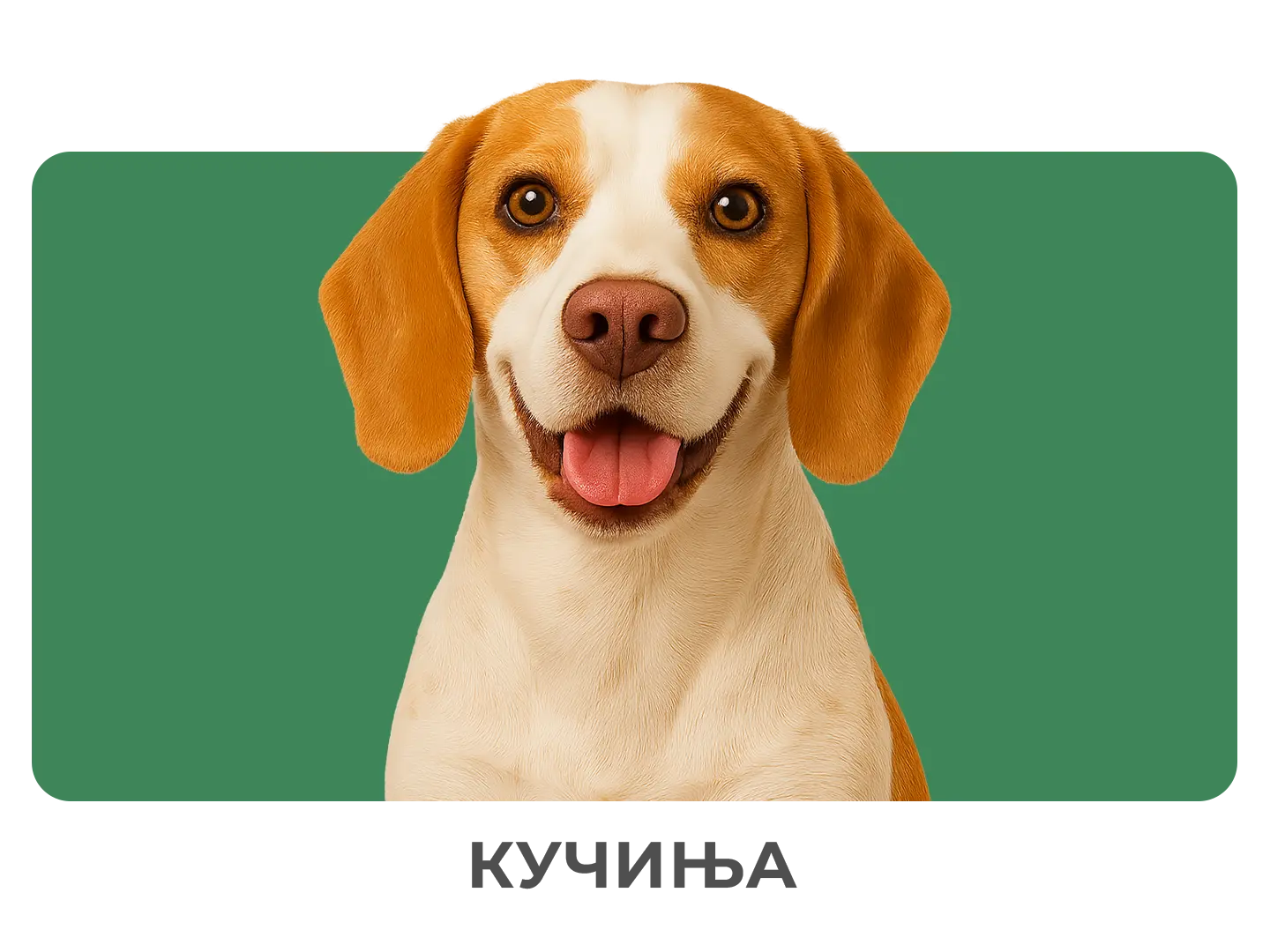 Кучиња