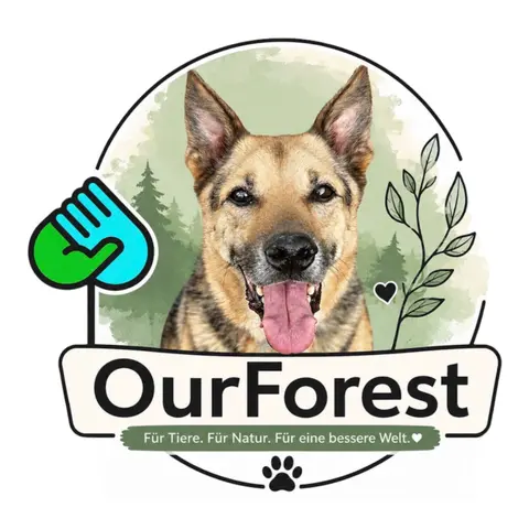OurForest