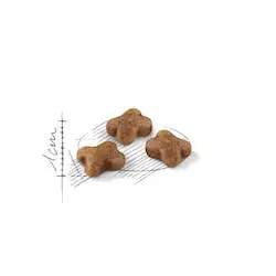 Royal Canin - Kitten thumb 3