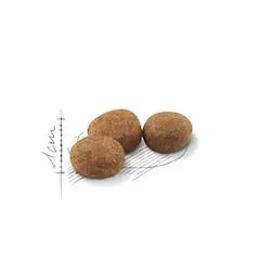 Royal Canin - Стерилизирана мачка thumb 4
