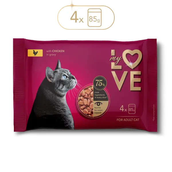 My Love for adult cat with chicken in gravy