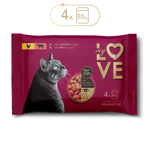 My Love for adult cat with chicken and beef in gravy