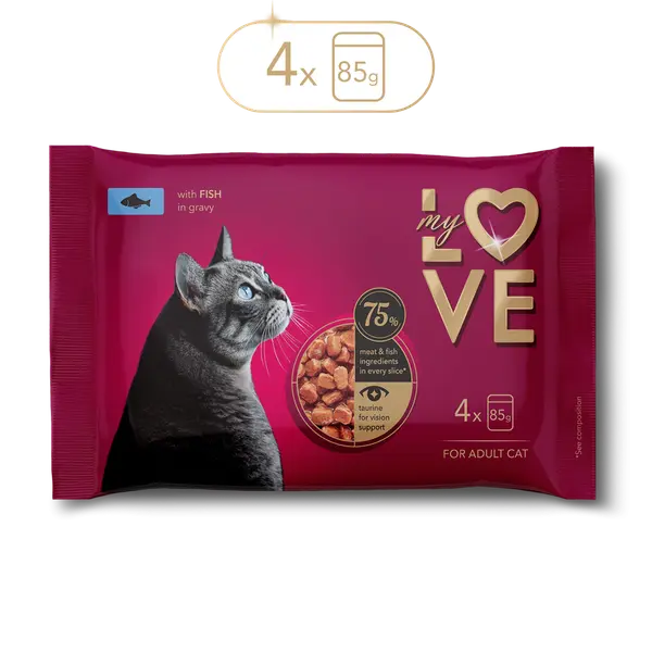 My Love for adult cat with fish in gravy