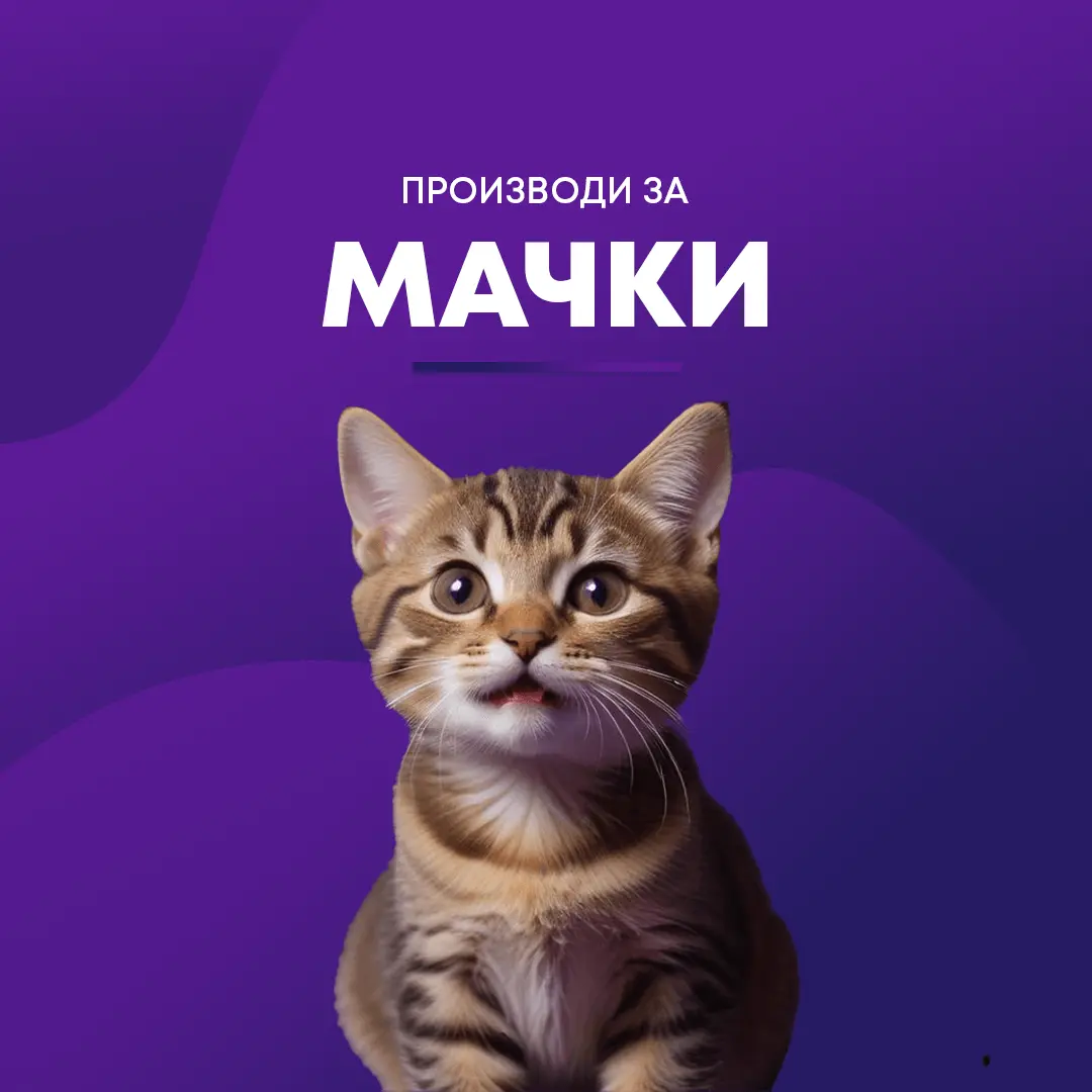 Мачиња