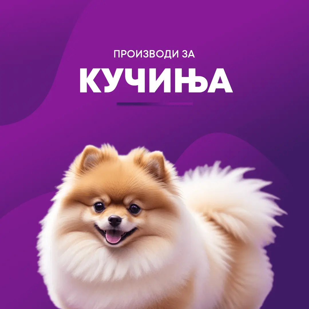 Кучиња