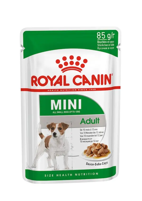 Mini Adult