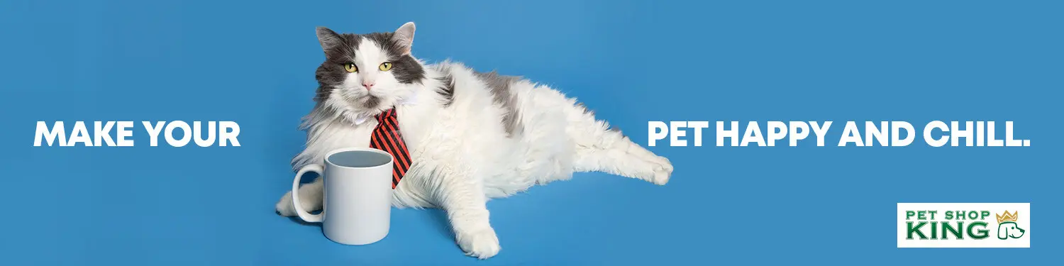 banner-cats-category-1-1.jpg