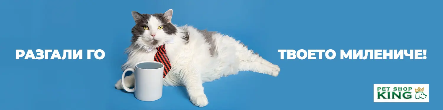 banner-cats-category-1.jpg