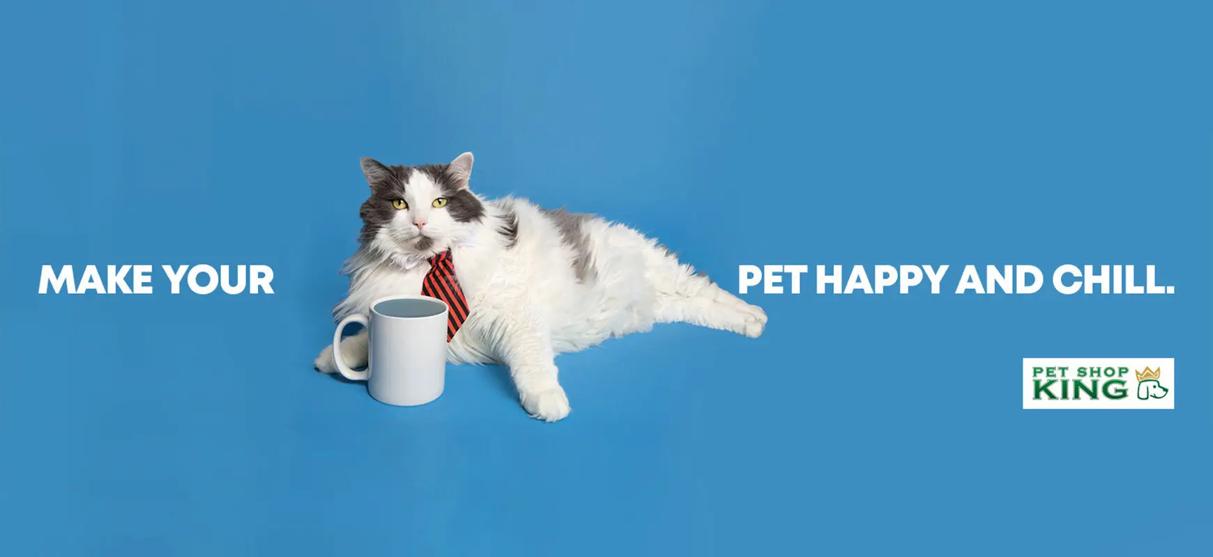 banner-cats-category-mobile-eng.jpg