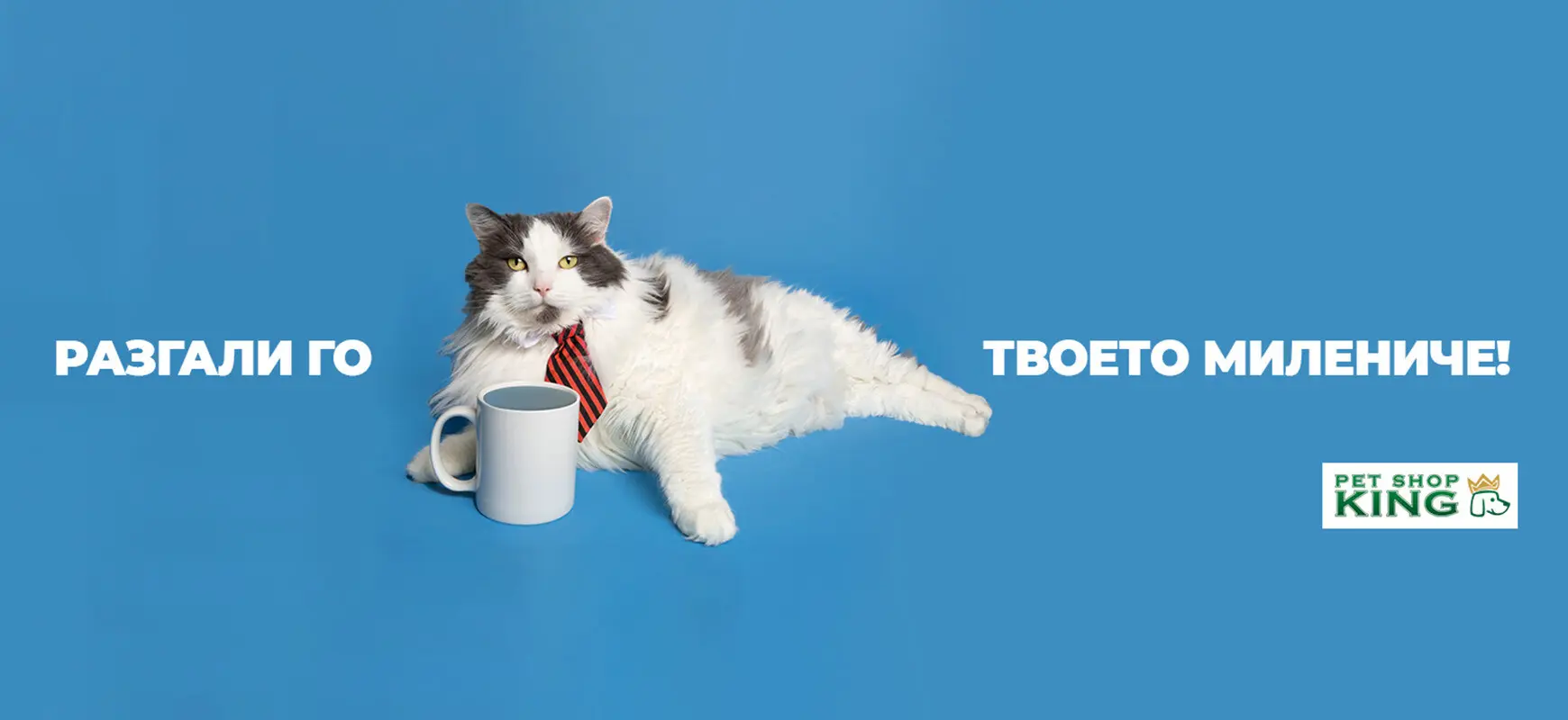 banner-cats-category-mobile1 (1).jpg