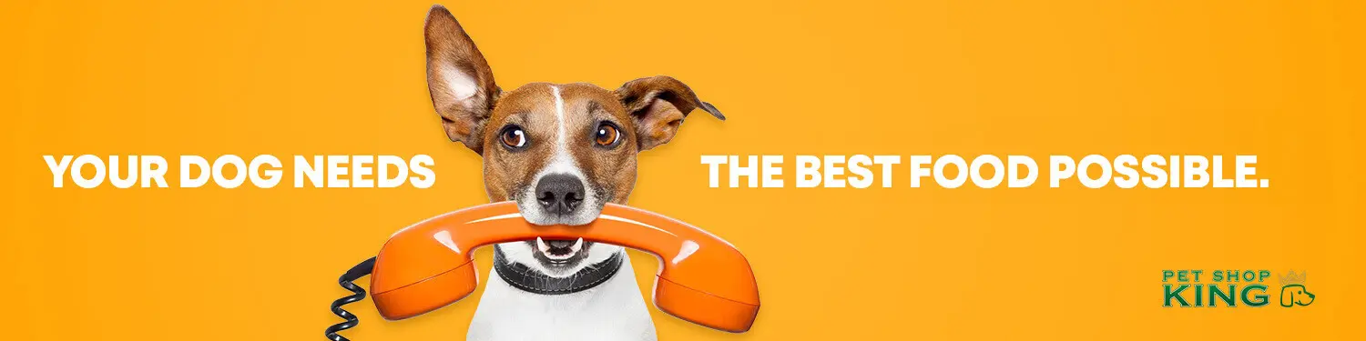 banner-dogs-category-2.jpg