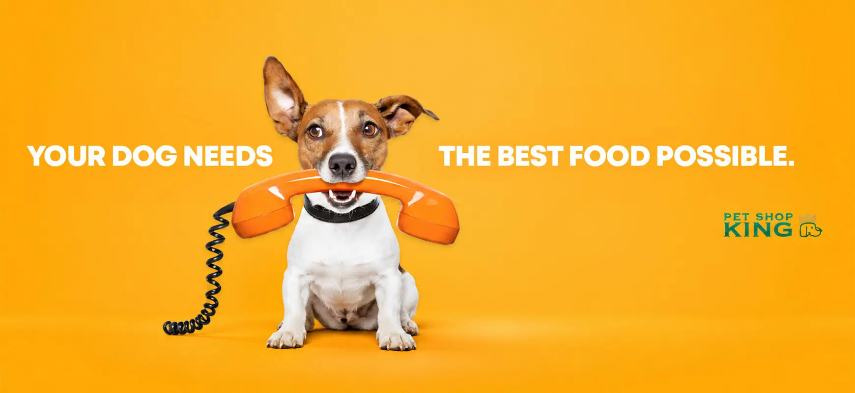 banner-dogs-category-mobile-eng.jpg