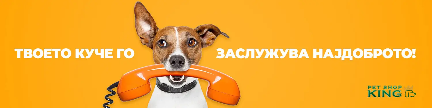 banner-dogs-category.jpg