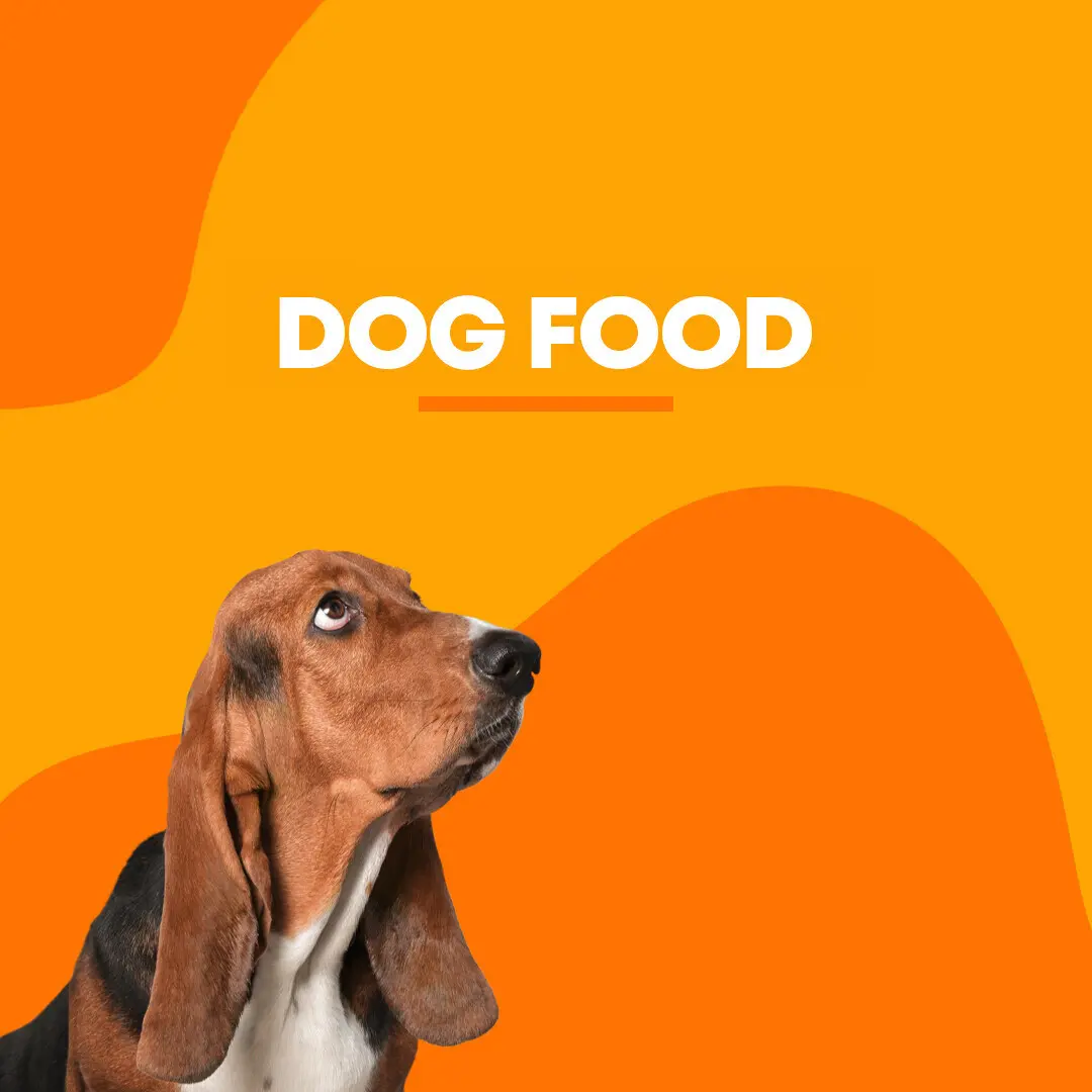 Dogs