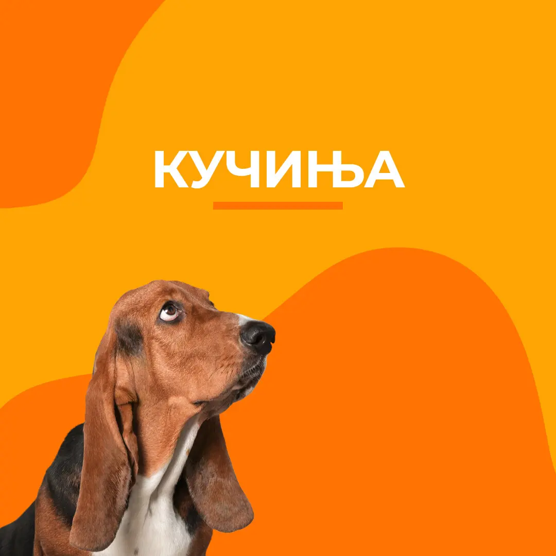 Кучиња