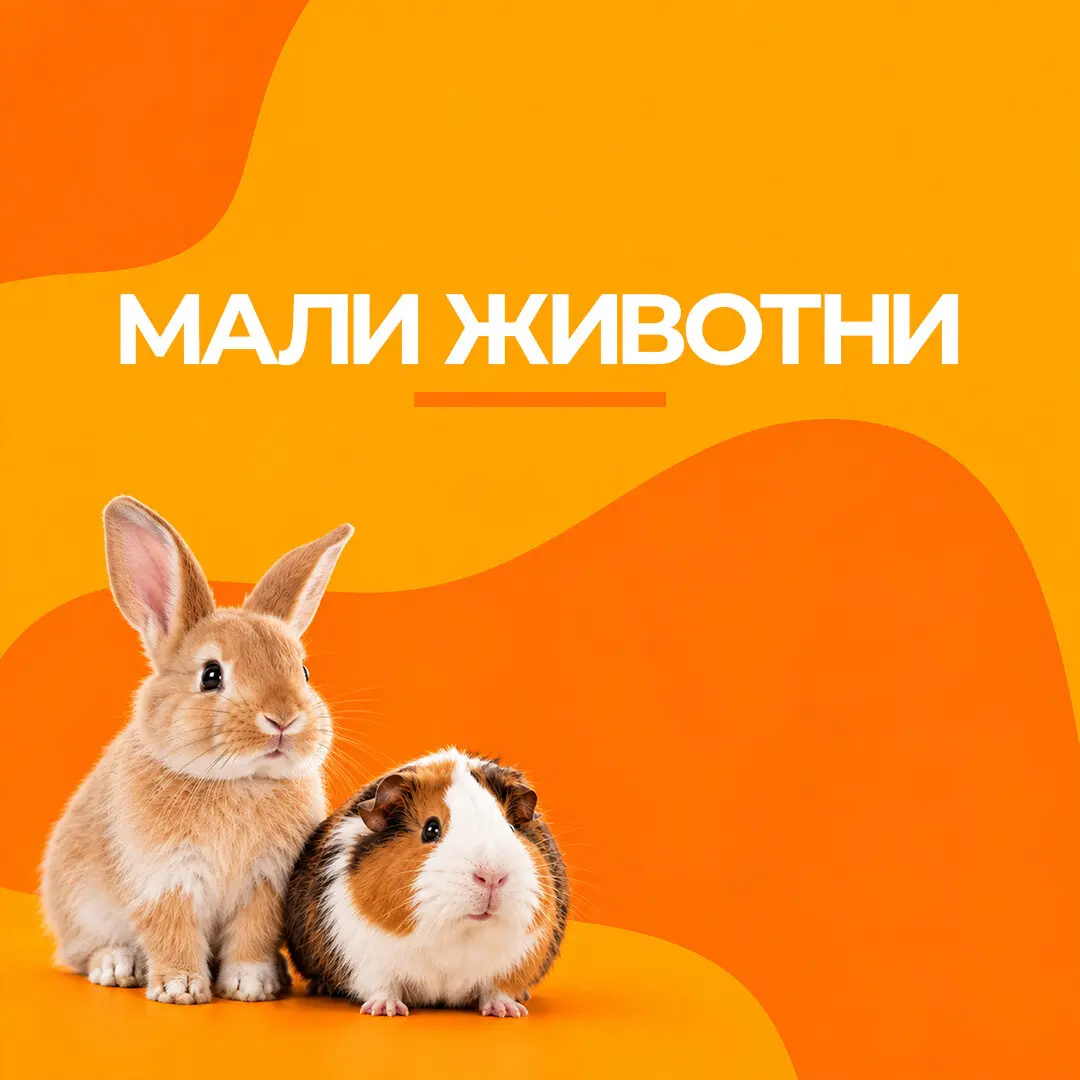 Мали животни
