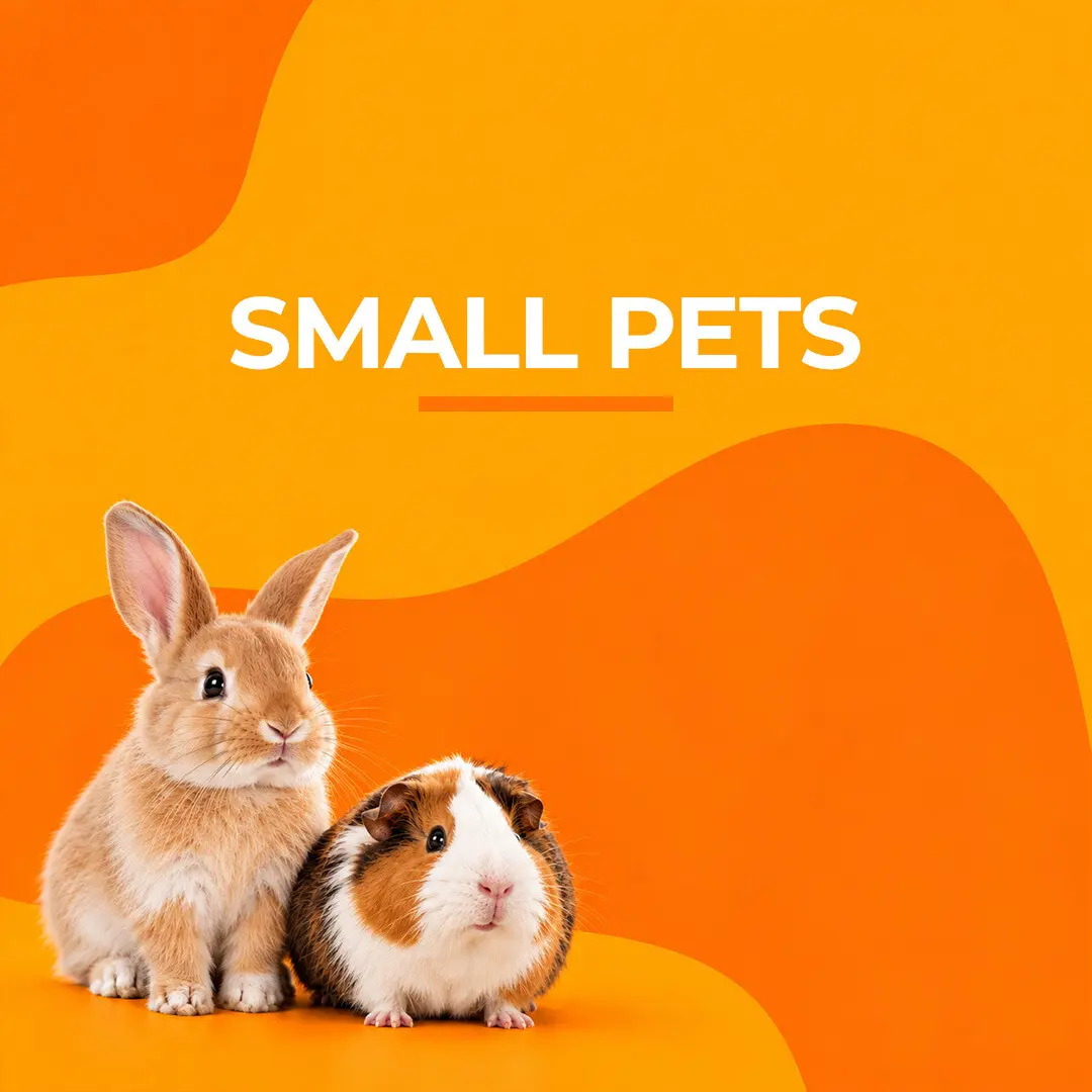 Small Animals