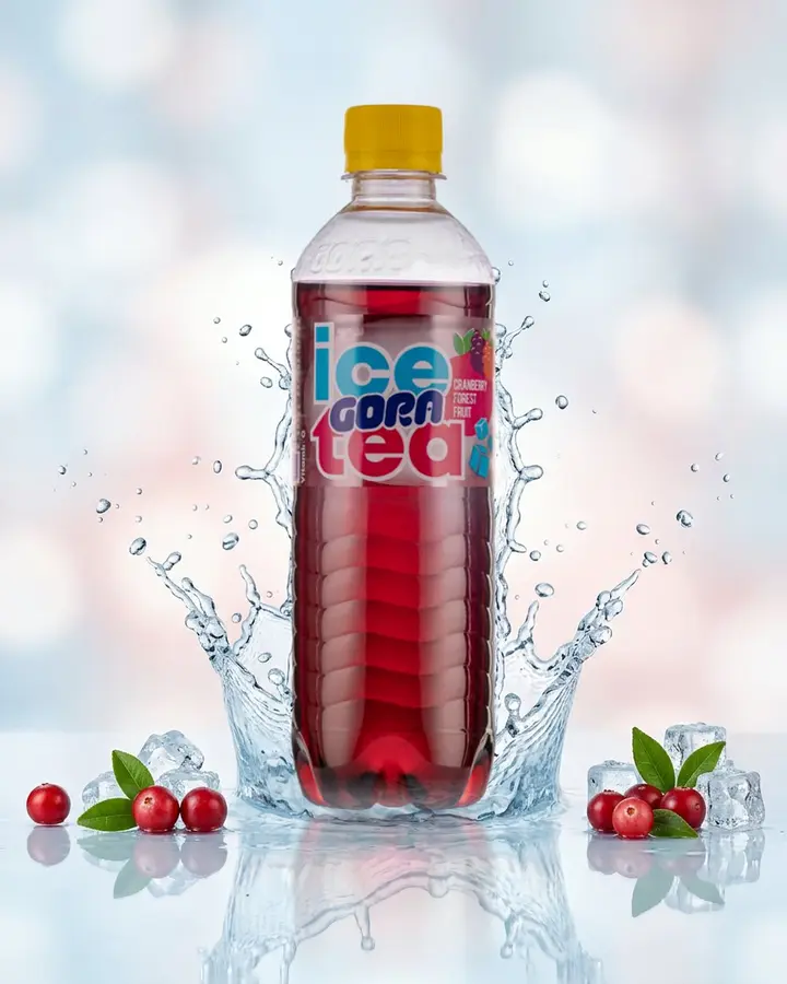 Гора леден чај Брусница 0,5l