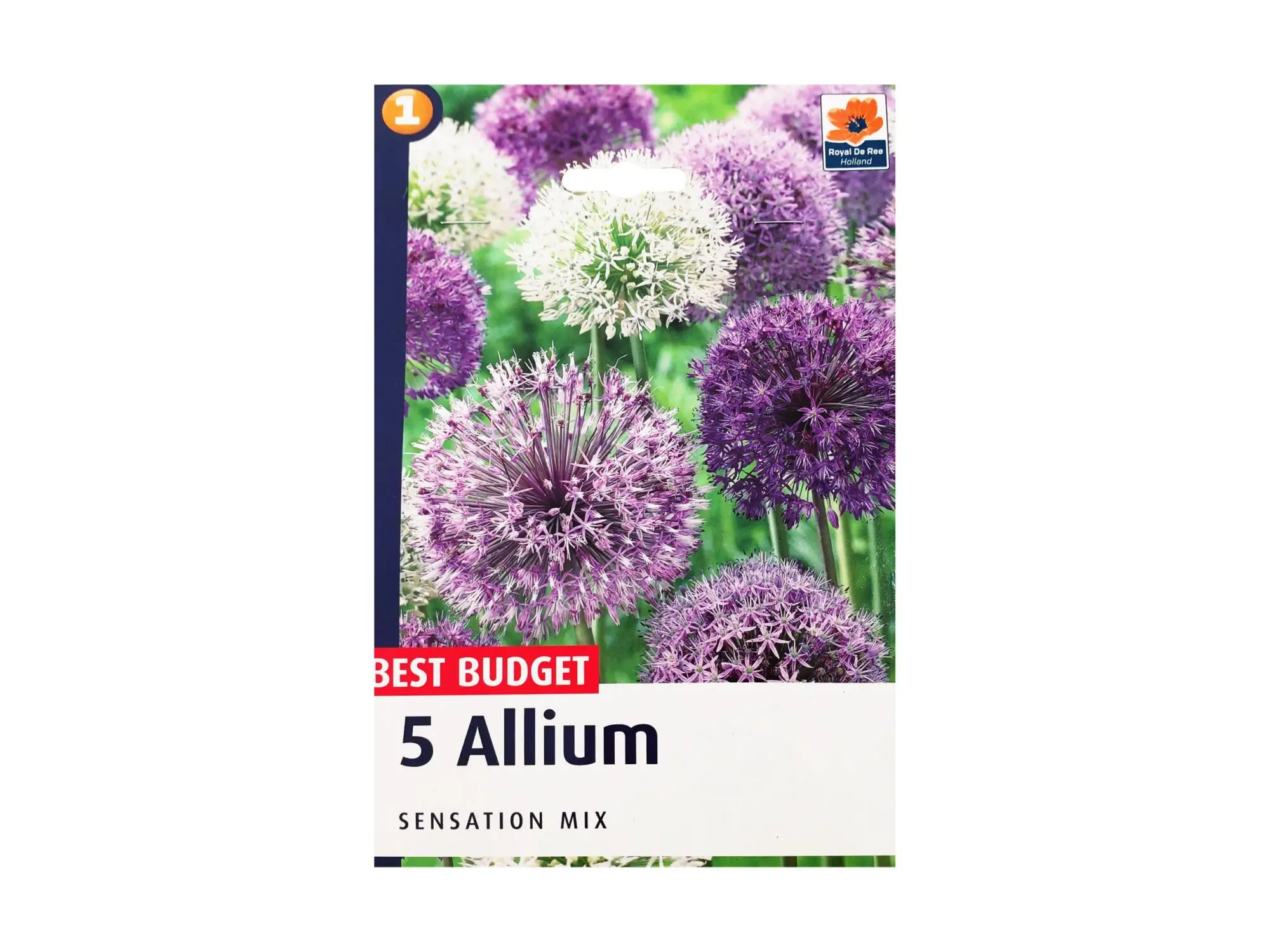 Садници Allium A/5 thumb 1