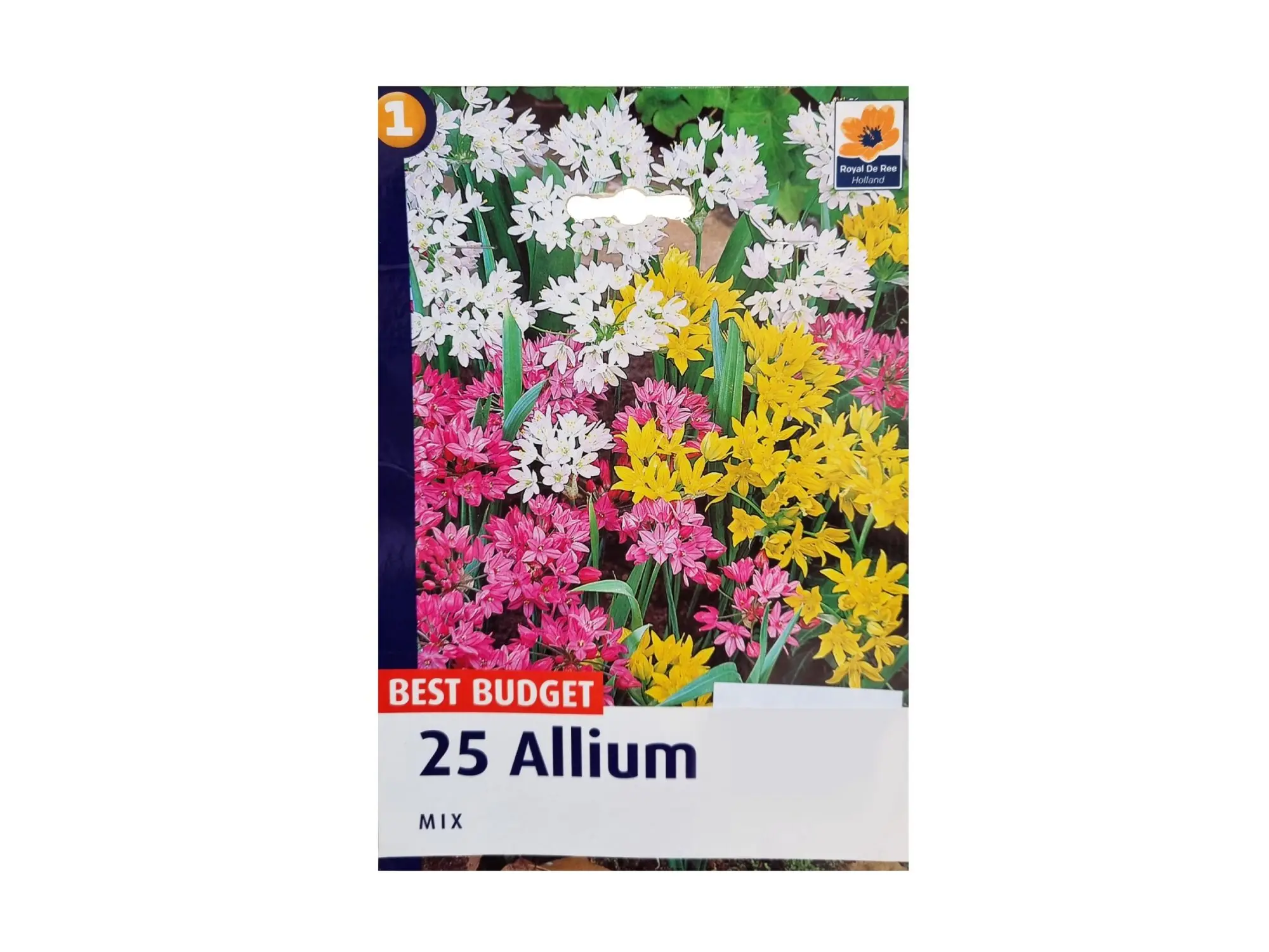 Садници Allium A/25
