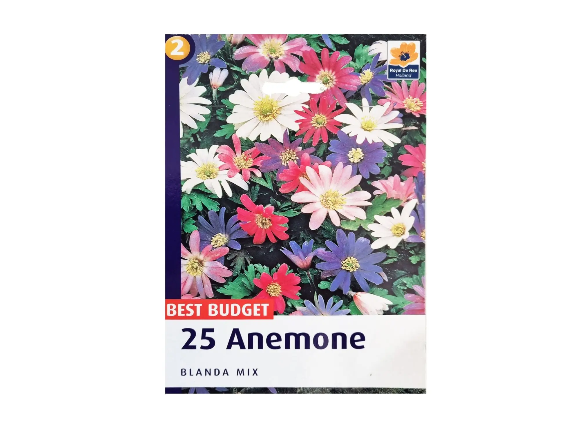 Садници Anemone A/25