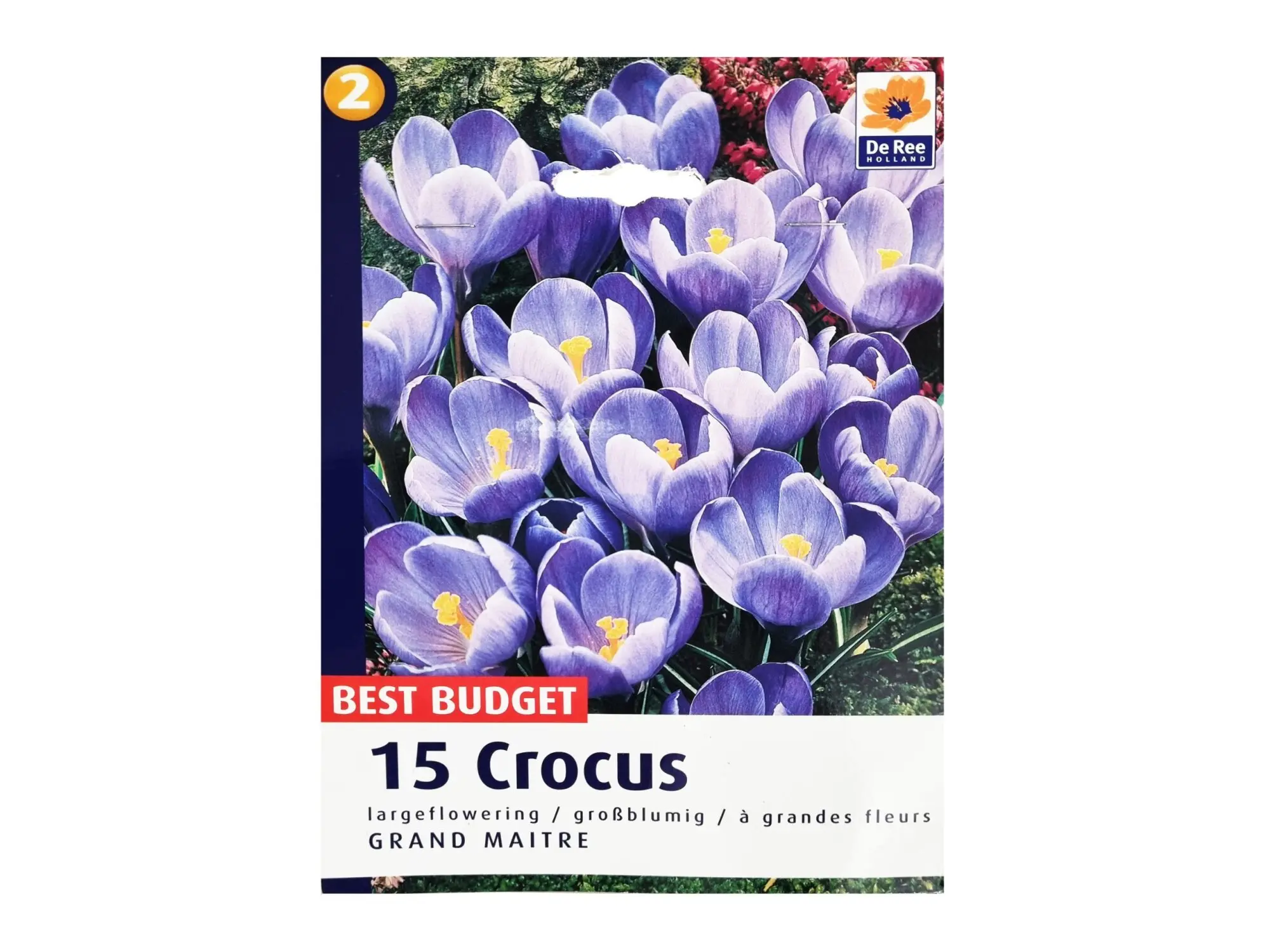 Садници Crocus A/15 thumb 1