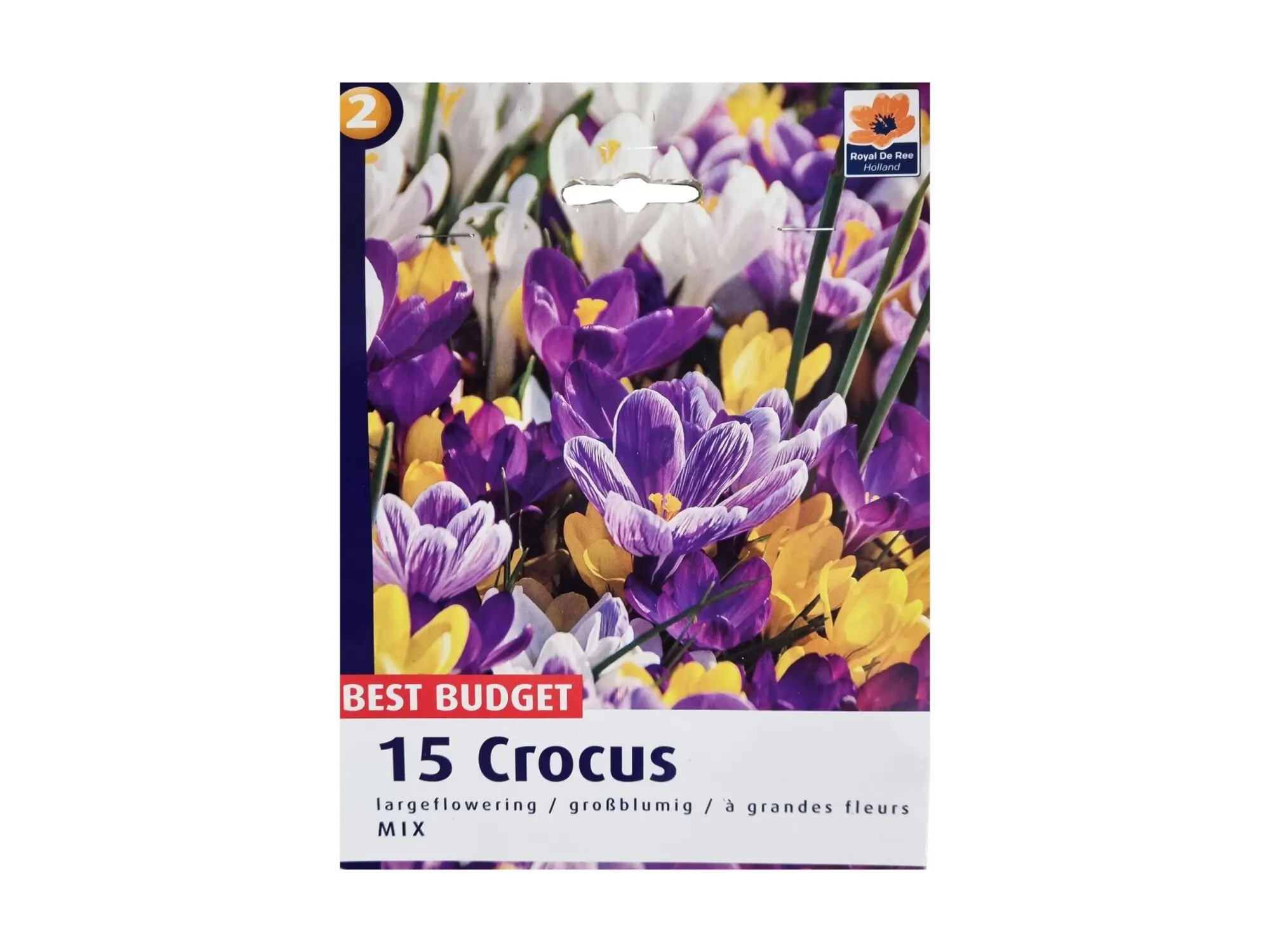 Садници Crocus A/15 thumb 2