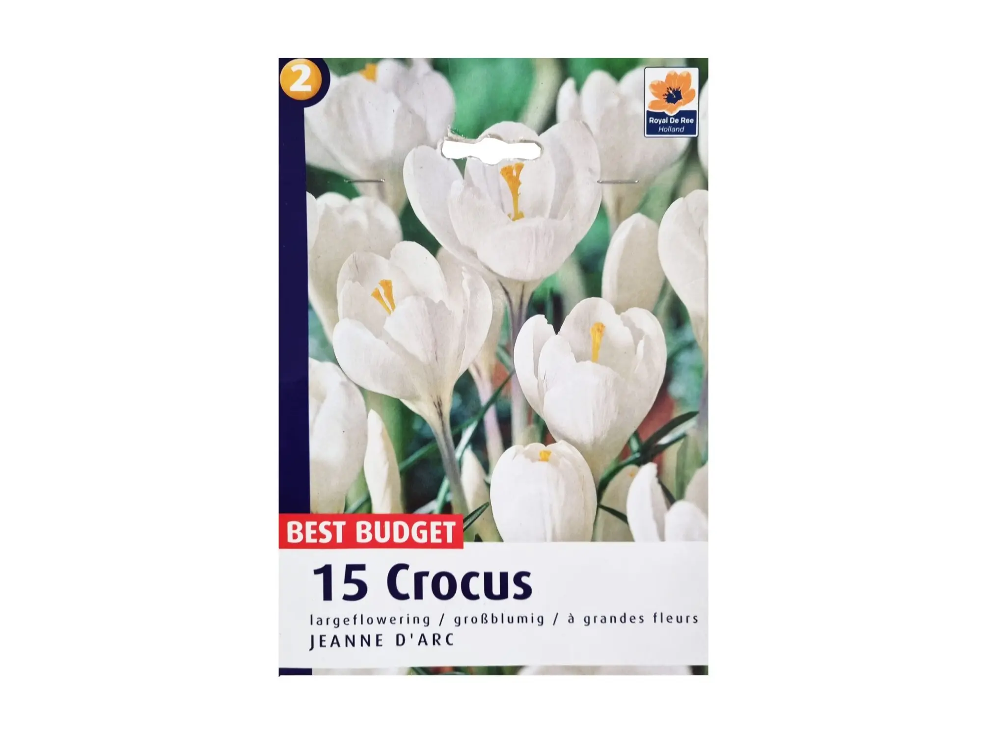Садници Crocus A/15 thumb 3