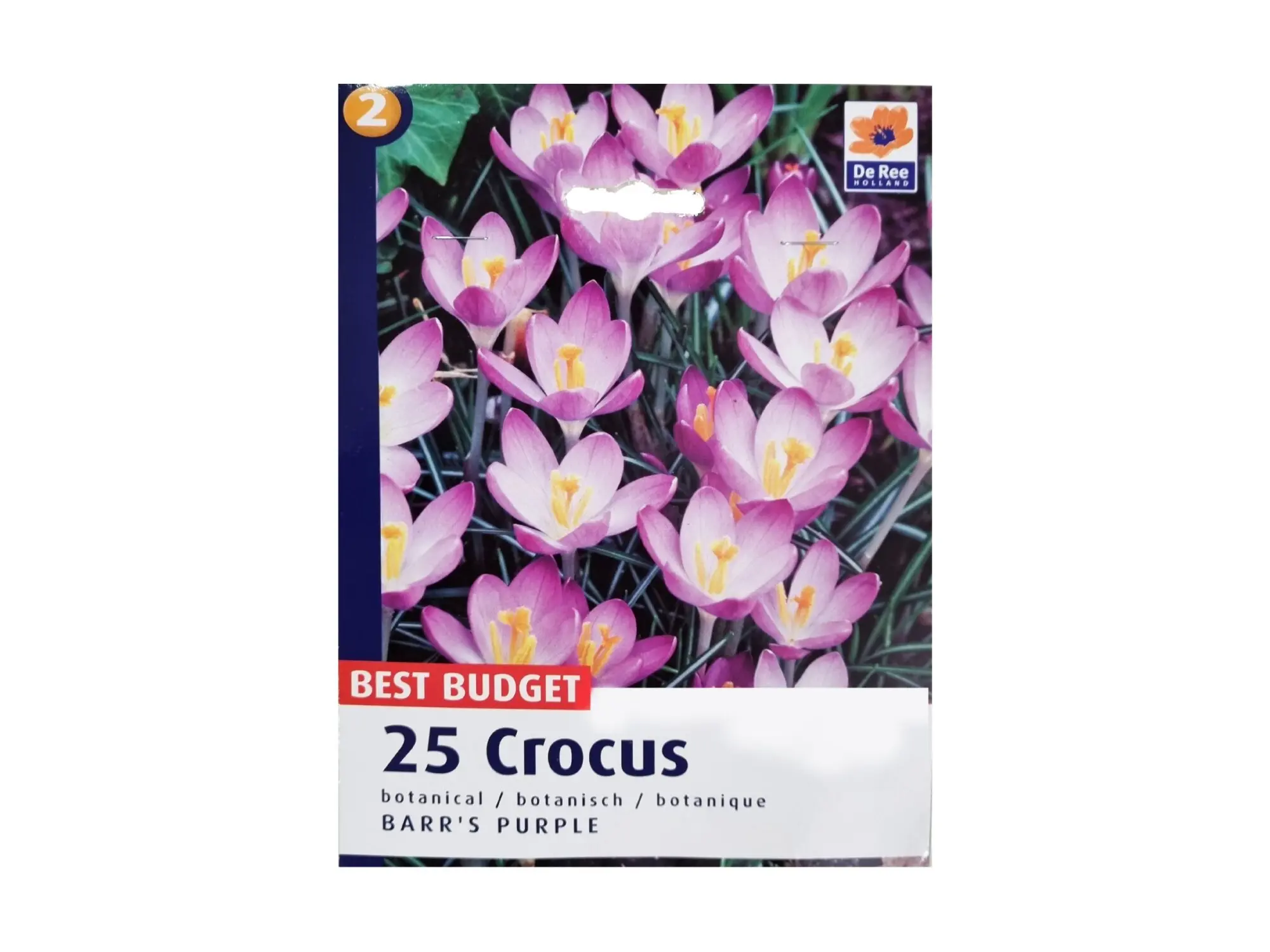 Садници Crocus A/25 thumb 1
