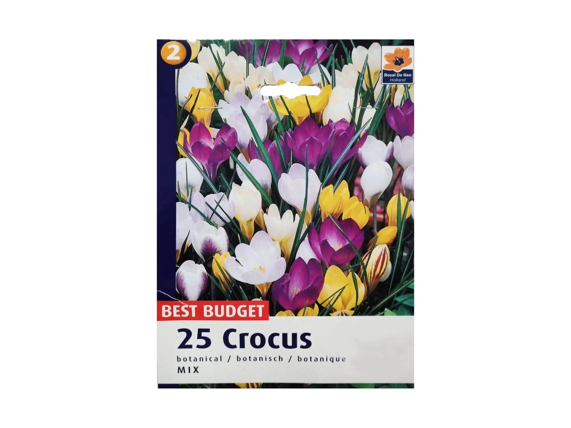 Садници Crocus A/25 thumb 2
