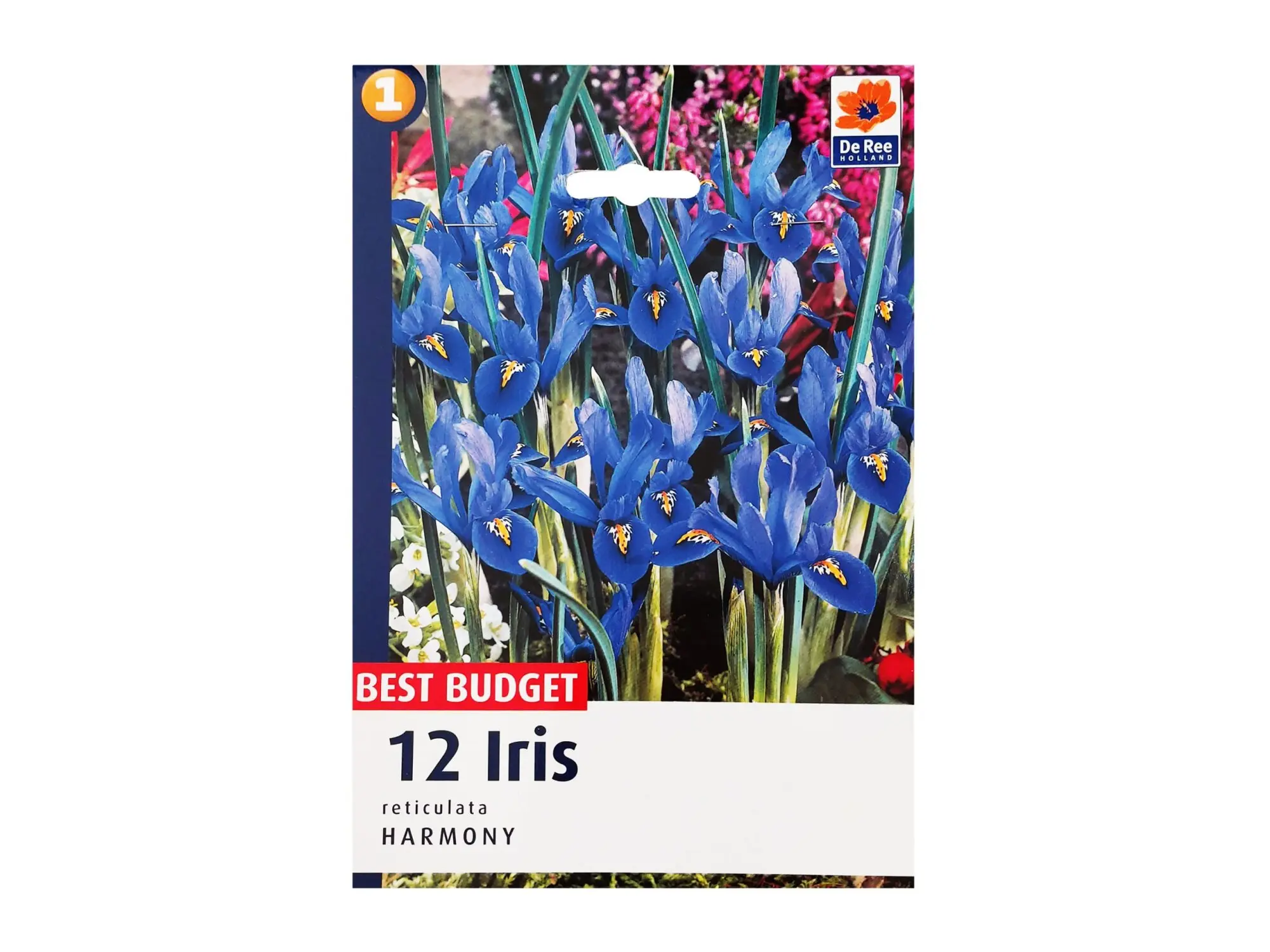 Садници Iris A/12