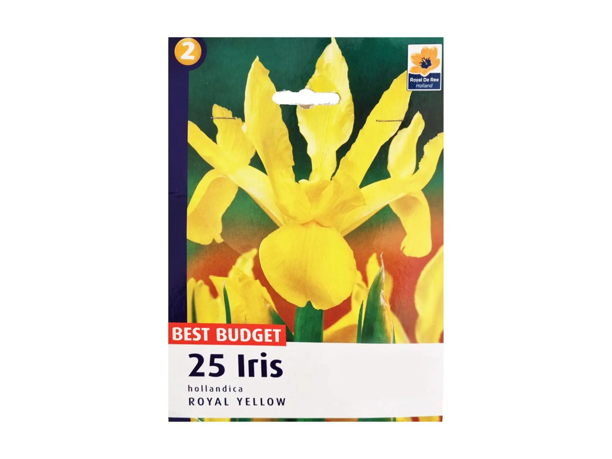 Садници Iris A/25 thumb 1