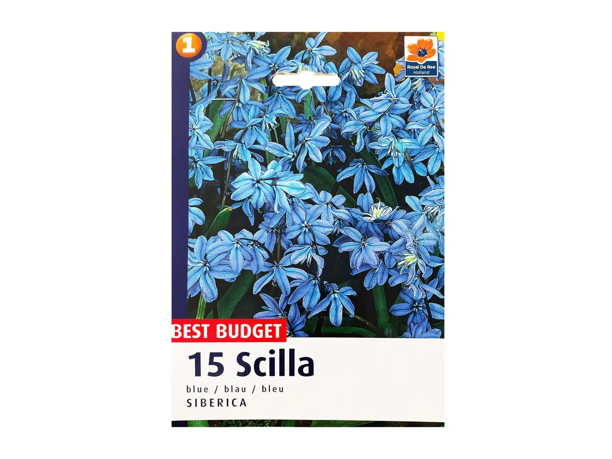 Садници Сцила А/15