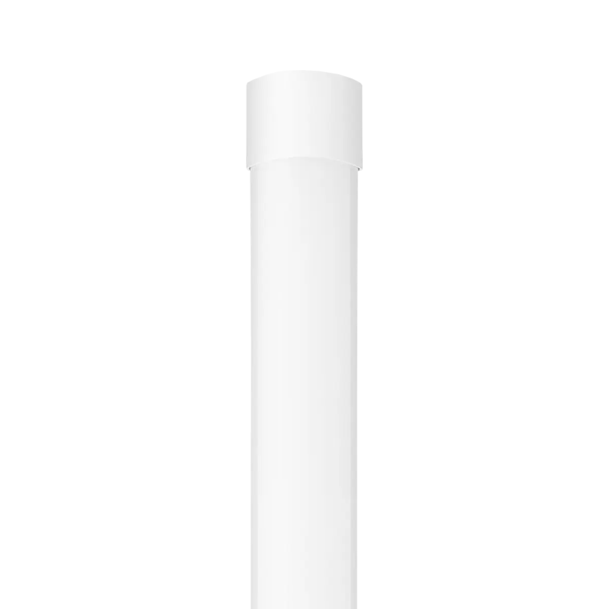 Лед Неонка 20W BI02 3/1 fabbygo thumb 2