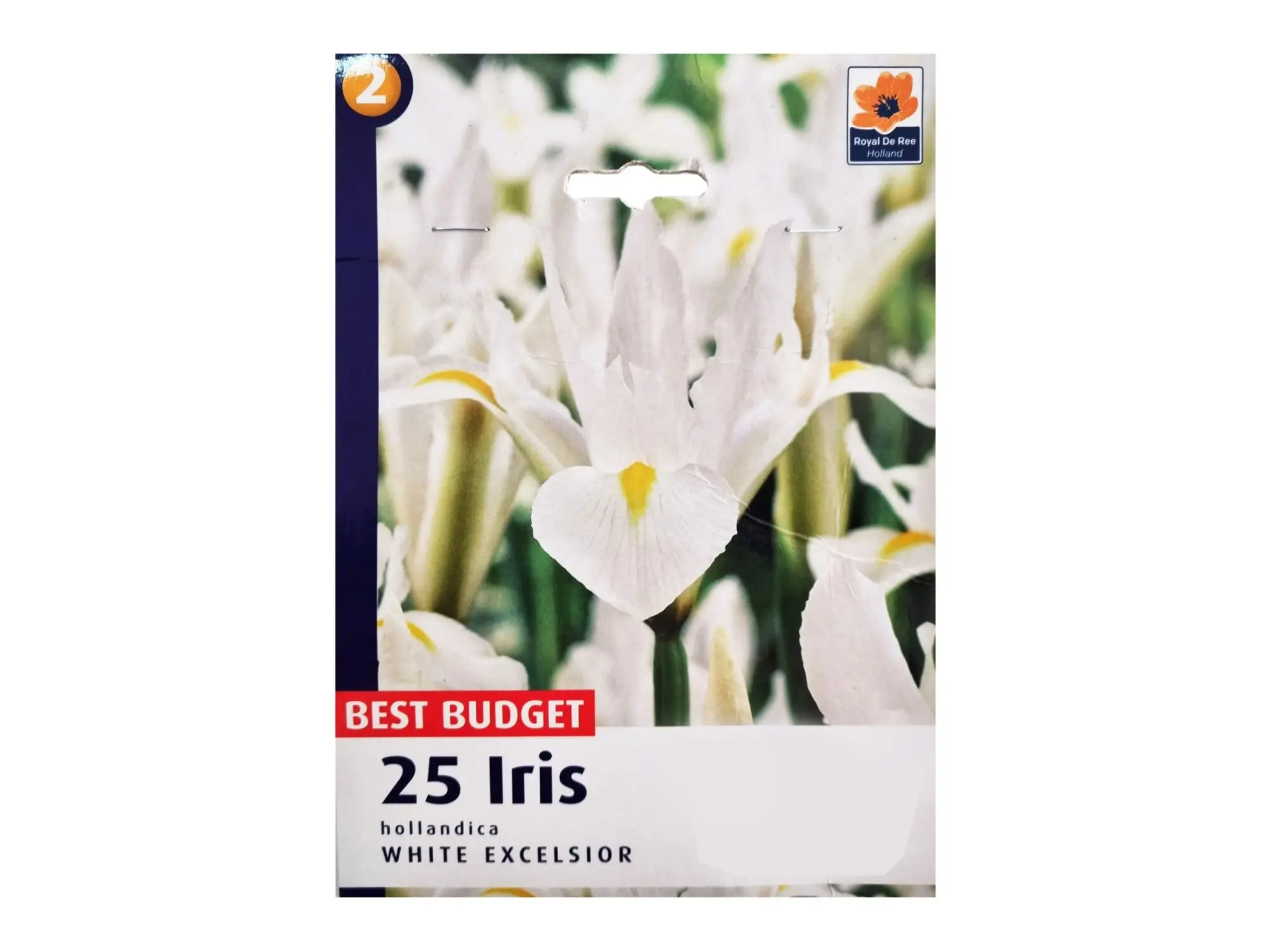 Садници Iris A/25 thumb 3
