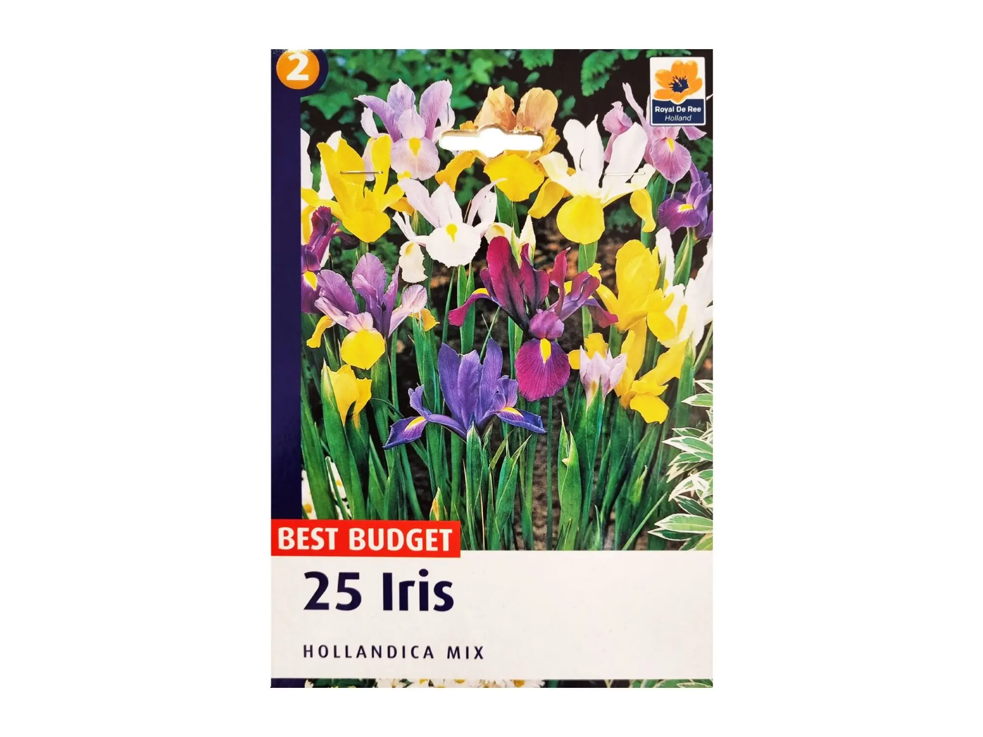 Садници Iris A/25 thumb 2